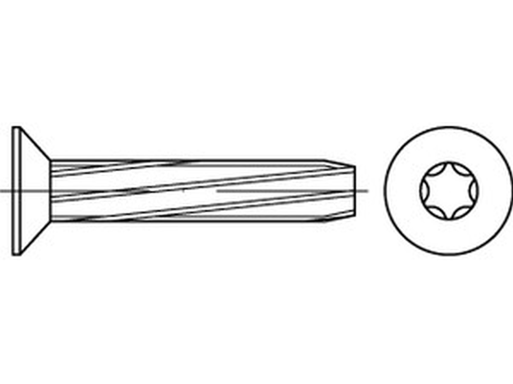 Bild von DIN 7516 StahlE M 5x16 -T25 (galv. verzinkt) Gewinde-Schneidschr. mit Kreuzschlitz - Pkg. (1000) (VPE=1000 Pkg. (1000))